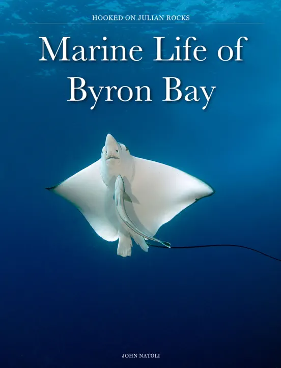 Marine Life of Byron Bay