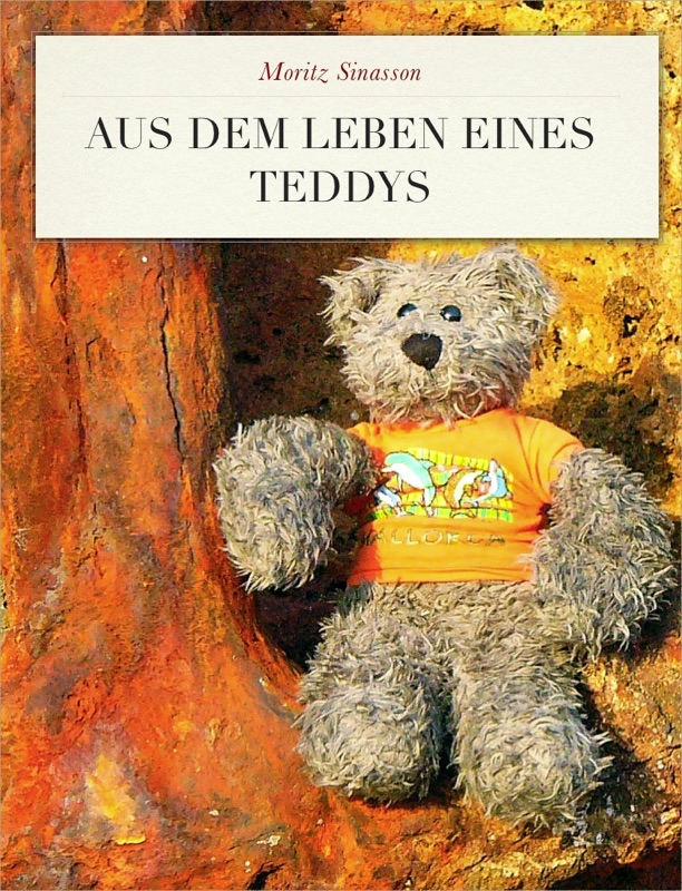 Aus dem Leben eines Teddys