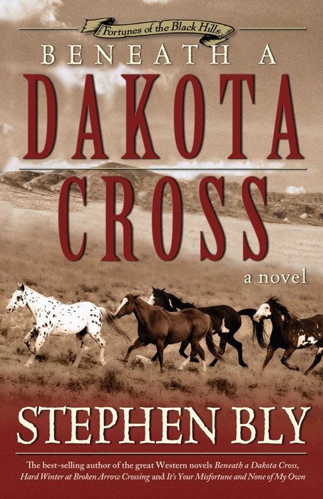 Beneath a Dakota Cross (Fortunes of the Black Hills, Book 1)