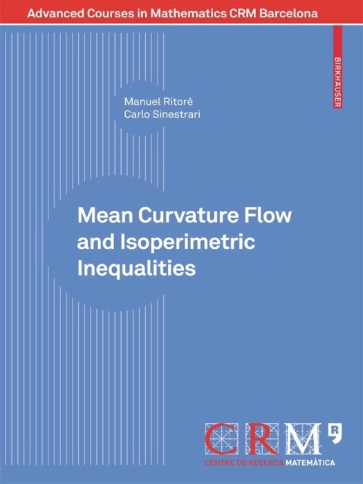 Mean Curvature Flow and Isoperimetric Inequalities