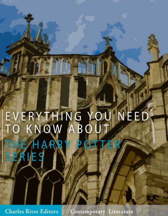 Everything You Need to Know About the Harry Potter Series