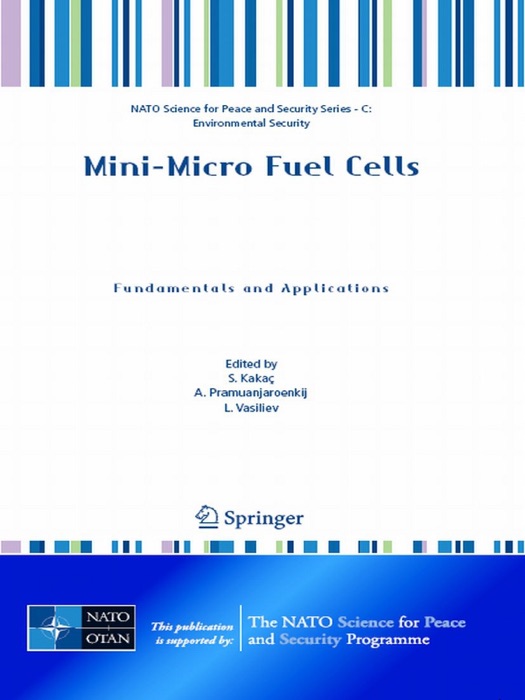 Mini-Micro Fuel Cells
