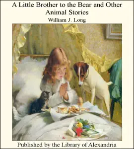 Read: A Little Brother to the Book Bear and Other Animal Stories