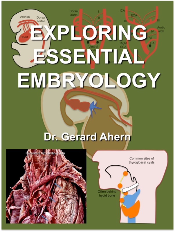 Exploring Essential Embryology