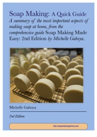 Soap Making: A Quick Guide - Michelle Gaboya