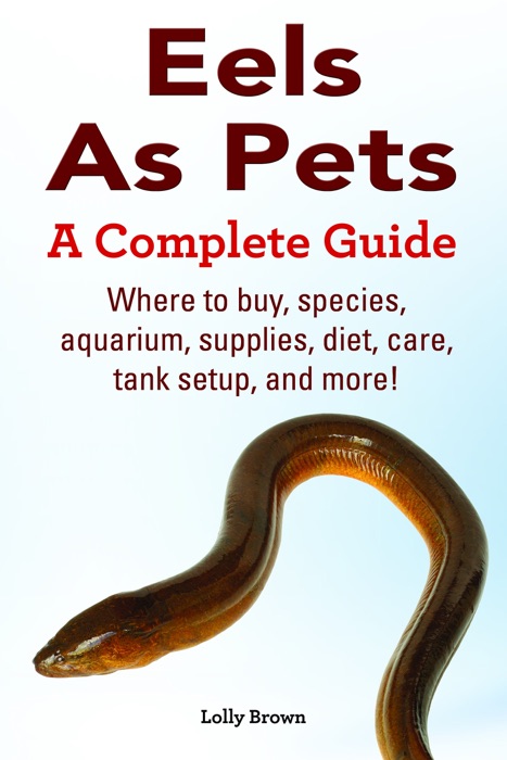 Eels As Pets. Where to buy, species, aquarium, supplies, diet, care, tank setup, and more! A Complete Guide