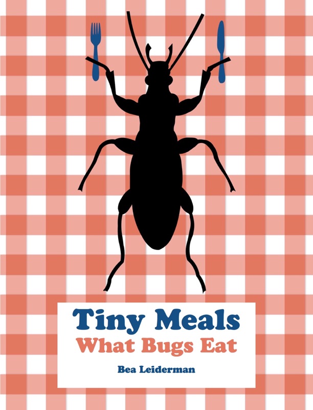 Tiny Meals