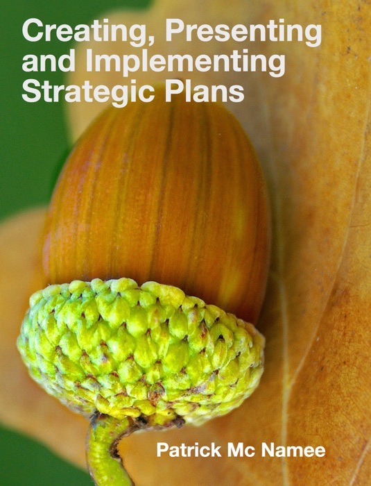 Creating, Presenting and Implementing Strategic Plans