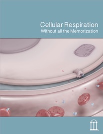 Cellular Respiration - Educational Resources, University of Georgia