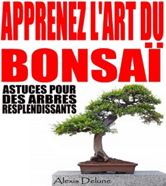 Apprenez l'art du Bonsaï - Alexis Delune