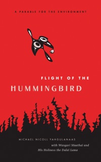 Flight of the Hummingbird by Michael Nicoll Yahgulanaas
