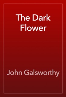 The Dark Flower by John Galsworthy