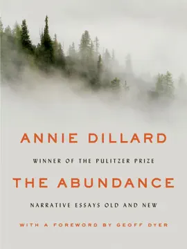 Read: The Book Abundance
