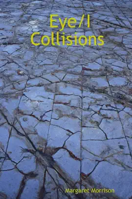 Read: Book Eye/I Collisions