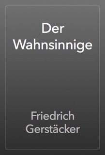 Der Wahnsinnige by Friedrich Gerstäcker
