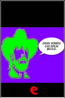 Read: Chuck Norris Can Speak Braile. Book