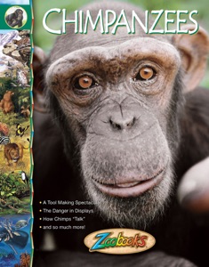 Zoobooks Chimpanzees