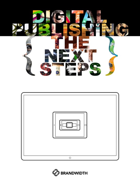 Digital Publishing: The Next Steps