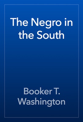 The Negro in the South