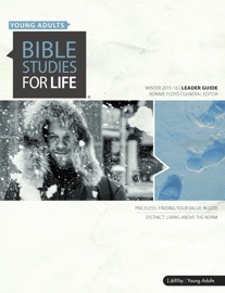 Bible Studies for Life: Young Adult Leader Guide - HCSB - Ronnie W. Floyd, Grant Ethridge & Michael Kelley