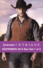 Harlequin Intrigue November 2014 - Box Set 1 of 2 - Delores Fossen, Paula Graves & Rita Herron