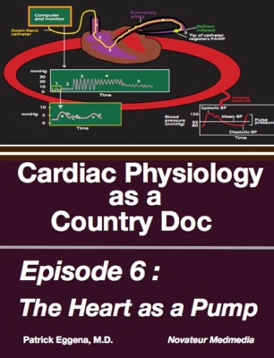 Heart as a Pump