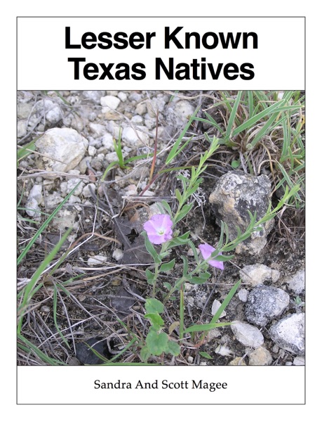 Lesser Known Texas Natives