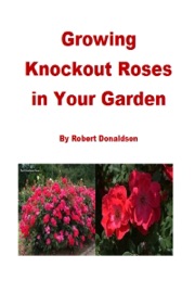 Growing Knockout Roses in Your Garden - Robert Donaldson