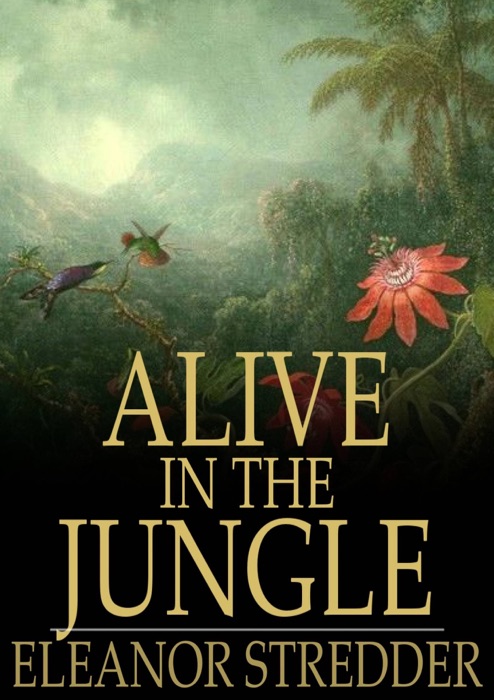 Alive in the Jungle