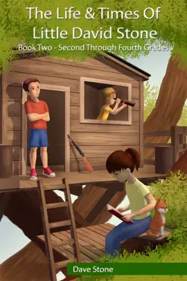Read: Book The Life & Times of Little David Stone: Book Two - Second through Fourth Grades