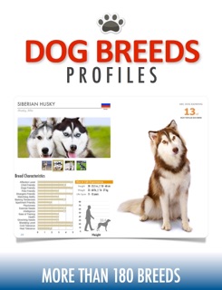 Dog Breeds Profiles by Victor Manuel Verdugo Rubio
