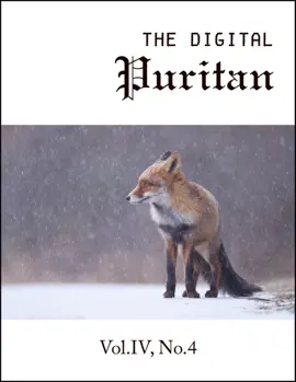 Read: The Digital Puritan - Vol.IV, Book No.4