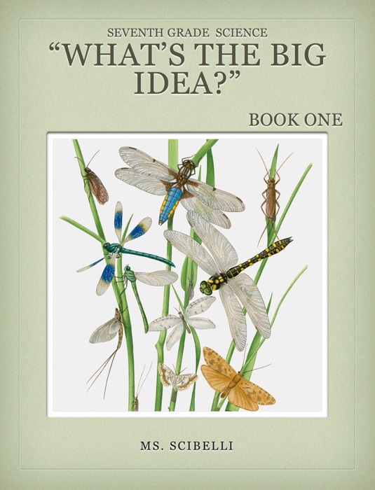 Biology What's the Big Idea?