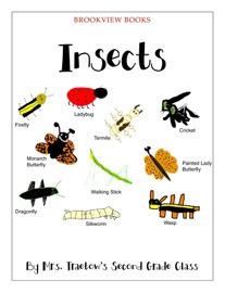 Insects - Cindy Herren