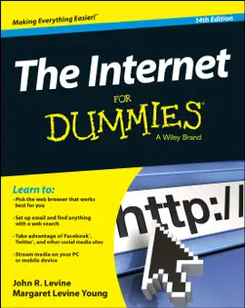 The Internet For Dummies