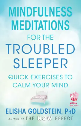 Read: Book Mindfulness Meditations for the Troubled Sleeper (with embedded videos)