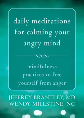 Read: Daily Meditations for Calming Book Your Angry Mind
