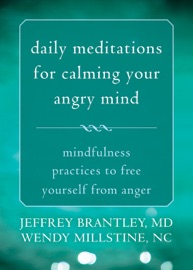 Daily Meditations for Calming Your Angry Mind - Jeffrey Brantley