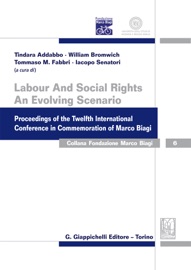 Labour and Social Rights. An Evolving Scenario - Tindara Addabbo, Alice Belcher, Janice Bellace, Patrizio Bianchi, Susanne Burri, Riccardo Del Punta, Lina Galvez Munoz, Avinash Govindjee, Attila Kun, Olivier Marius, Giovanni Masino, Giovanni Solinas, Carla Spinelli, Teresina Torre & Mimi Zou