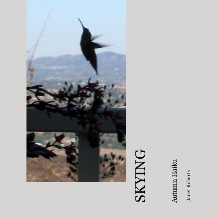 SKYING