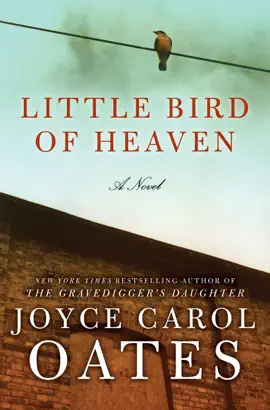 Read: Book Little Bird of Heaven
