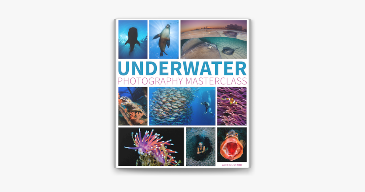 ‎Underwater Photography Masterclass on Apple Books