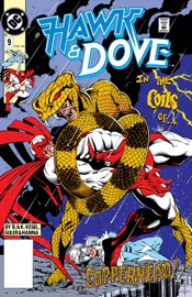 Hawk & Dove (1989-) #9 - Barbara Kesel, Karl Kesel & Greg Gulder