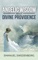 Angelic Wisdom about Divine Providence - Emanuel Swedenborg