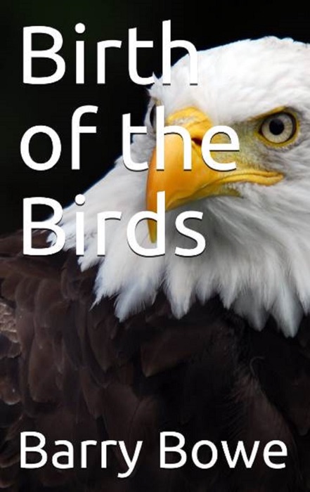 Birth of the Birds