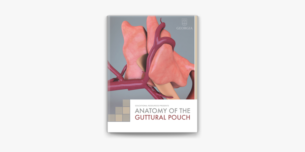 Anatomy of the Guttural Pouch on Apple Books