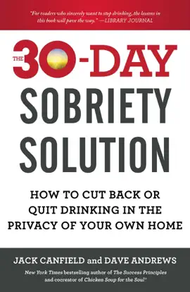 Read: The 30-Day Sobriety Book Solution