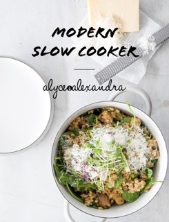 Modern Slow Cooker by Alyce Alexandra