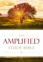 Zondervan - The Amplified Study Bible, eBook artwork