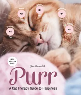 Read: Purr